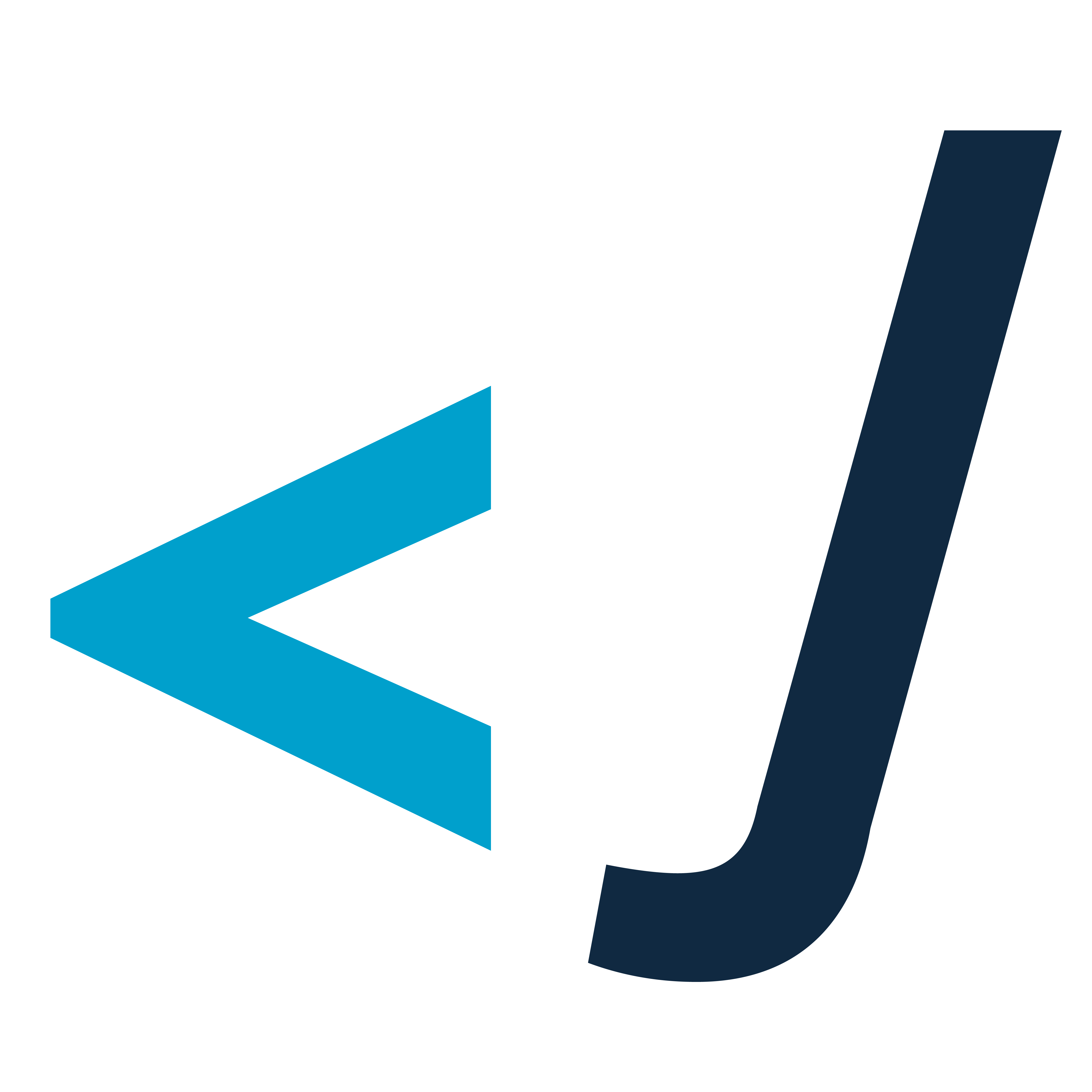 Gestaltung einer Monogramm für EDV Jakober